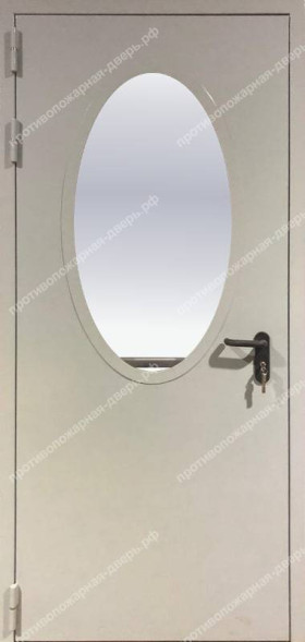 Однопольная остекленная дверь Антипаника «Push-bar» EI 60 RAL 7035 (03)