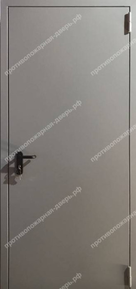 Однопольная глухая дверь EI 60 RAL 7040 (03)